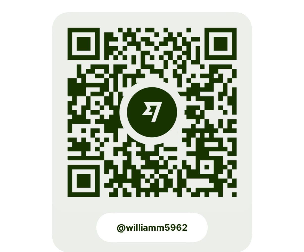 WISE QR Code for payment